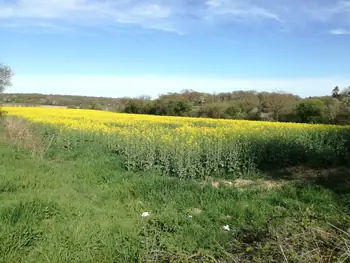 Les Lacs de l'eau d'Heure, Froidchapelle (Belgium)